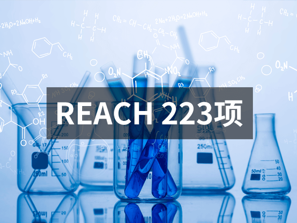 REACH223（1）-PX600X450.png