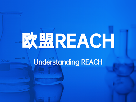 蓝色化学实验室-REACH-1-PX440X330.png